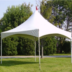 Pagoda Tents On Sale (1)